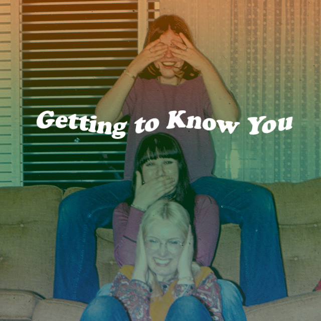 Getting To Know You: Ariel Pink Spotify Playlist