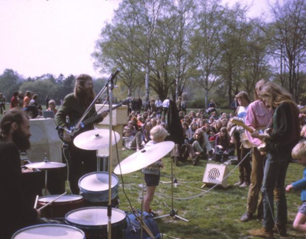 Träd, Gräs och Stenar