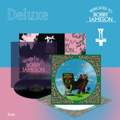 ariel pink dedicated to bobby jameson deluxe LP