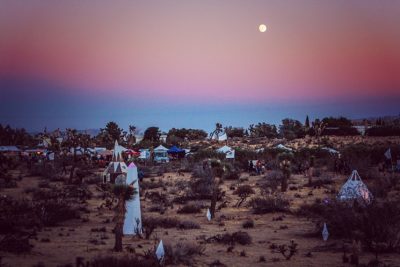 Desert Daze Festival