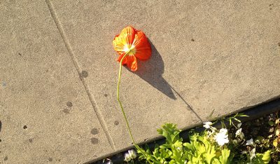 Jerry Hsu Photograph